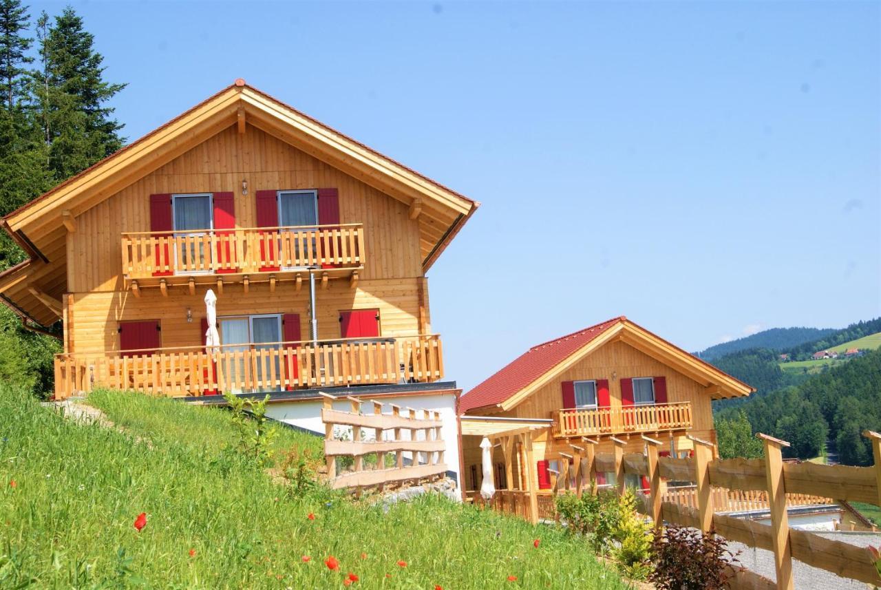 Bergchalet Am Waldrand - Pool, Sauna & Kamin Pöllauberg Zewnętrze zdjęcie
