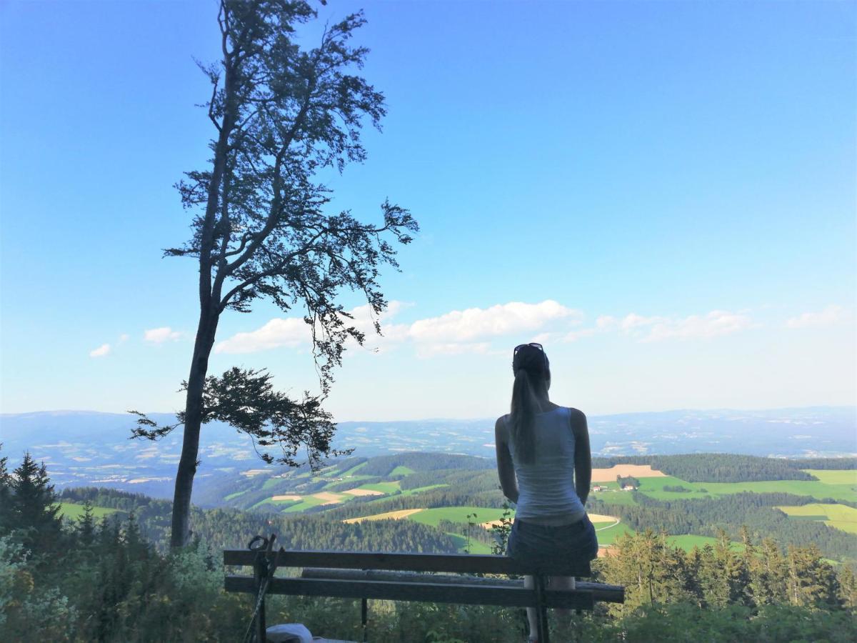Bergchalet Am Waldrand - Pool, Sauna & Kamin Pöllauberg Zewnętrze zdjęcie